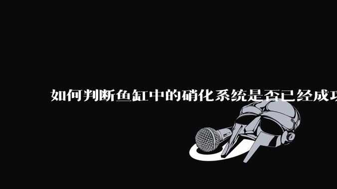 如何判断鱼缸中的硝化系统是否已经成功建立？